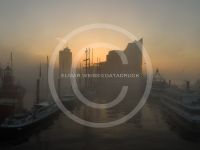 Hamburg Hafen Elbphilharmonie Nebel  #235